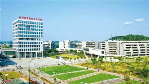 數(shù)說(shuō)廣西：近5年來(lái)桂留學(xué)生數(shù)量年均增長(zhǎng)20%