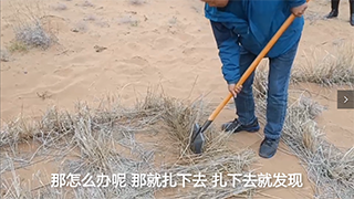 【母親河畔的中國】治理沙害，這個小格子起了大作用！