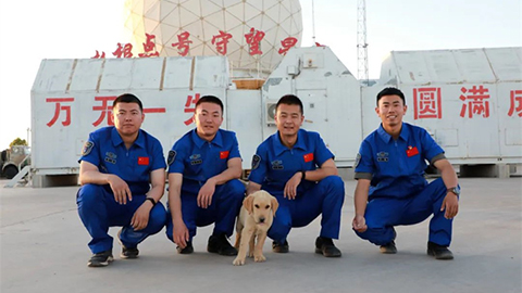 四個人，兩只狗，在無垠沙海中守望著星河……