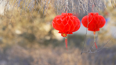 新春走軍營 | 爸媽，我在這里挺好的