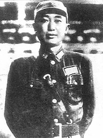戴安瀾：永遠(yuǎn)振翅的“海鷗”